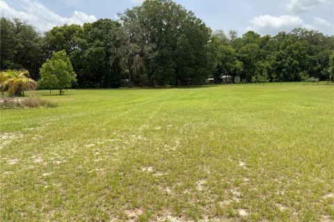 Terrain à vendre à Zephyrhills, Floride № 1199175 - photo 12