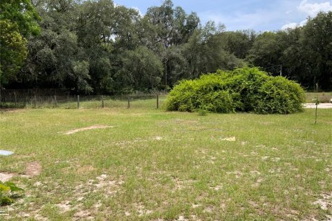 Land in Zephyrhills, Florida № 1199175 - photo 22