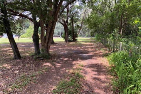 Terreno en venta en Zephyrhills, Florida № 1199175 - foto 4