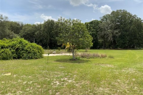 Terrain à vendre à Zephyrhills, Floride № 1199175 - photo 21