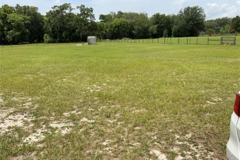 Land in Zephyrhills, Florida № 1199175 - photo 18