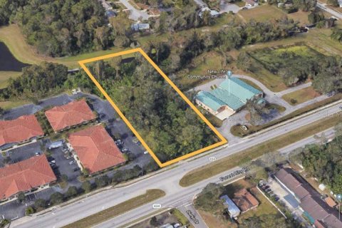 Купить земельный участок в Орландо, Флорида № 213149 - фото 1