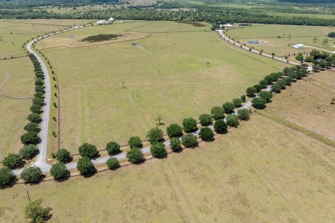 Land in Okeechobee, Florida № 1151837 - photo 15