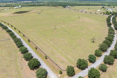 Land in Okeechobee, Florida № 1151837 - photo 14