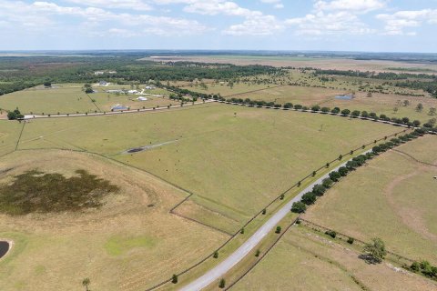 Land in Okeechobee, Florida № 1151837 - photo 20