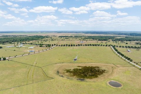 Land in Okeechobee, Florida № 1151837 - photo 11