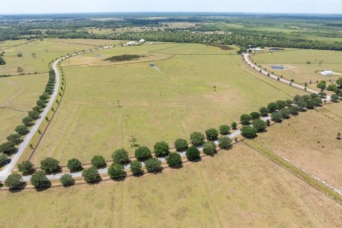 Land in Okeechobee, Florida № 1151837 - photo 17