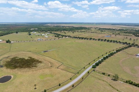 Land in Okeechobee, Florida № 1151837 - photo 16