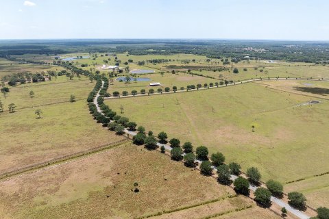 Land in Okeechobee, Florida № 1151837 - photo 7