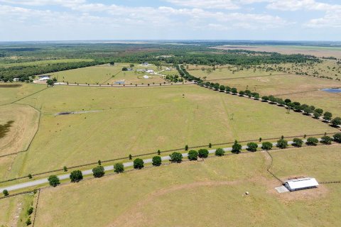 Land in Okeechobee, Florida № 1151837 - photo 10