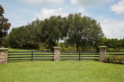 Land in Okeechobee, Florida № 1151837 - photo 30