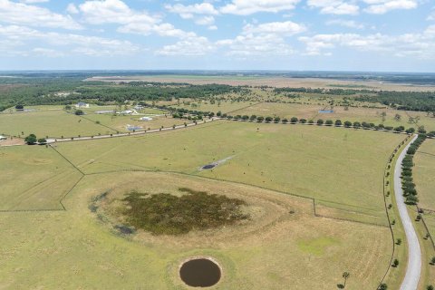 Land in Okeechobee, Florida № 1151837 - photo 19