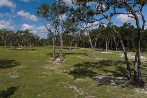 Terrain à vendre à Ocala, Floride № 1000972 - photo 5