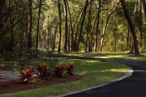 Terreno en venta en Ocala, Florida № 1000972 - foto 3