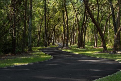 Land in Ocala, Florida № 1000972 - photo 2