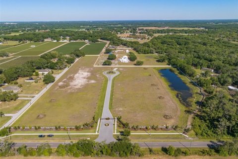 Terreno en venta en Dover, Florida № 1298435 - foto 4