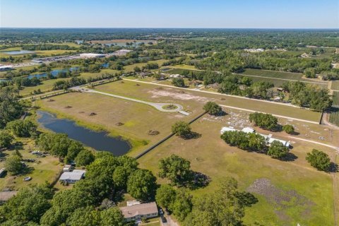 Land in Dover, Florida № 1298435 - photo 7