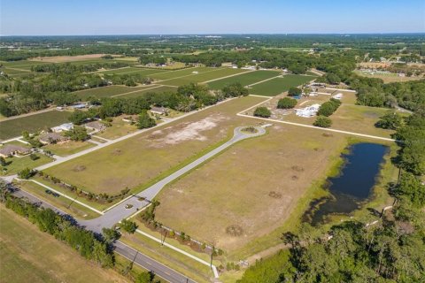 Land in Dover, Florida № 1298435 - photo 5