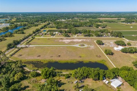 Terreno en venta en Dover, Florida № 1298435 - foto 6