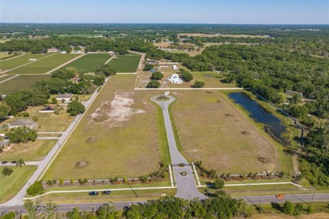 Land in Dover, Florida № 1298435 - photo 9