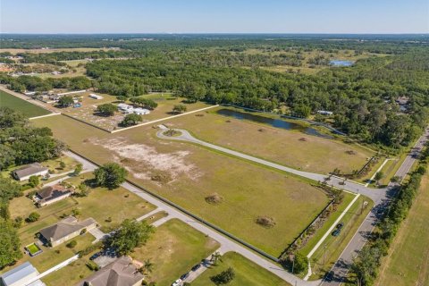 Terreno en venta en Dover, Florida № 1298435 - foto 8