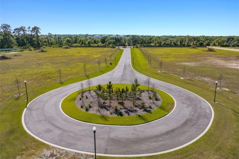 Terreno en venta en Dover, Florida № 1298435 - foto 2