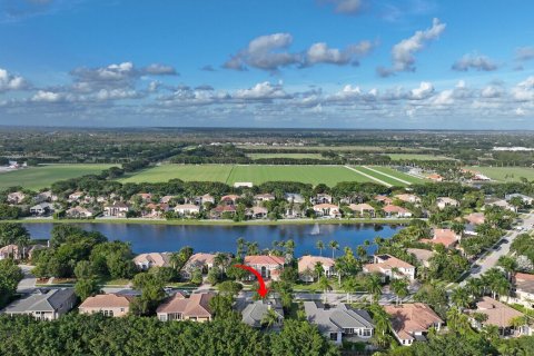 Villa ou maison à vendre à Wellington, Floride: 5 chambres, 322.74 m2 № 874453 - photo 3