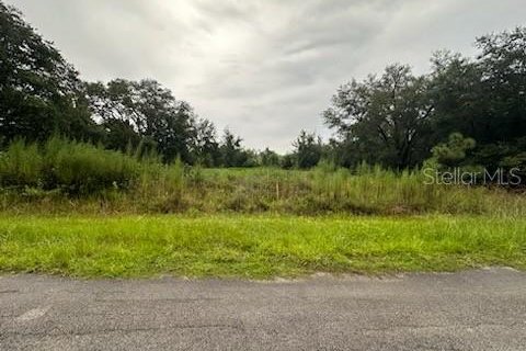 Land in Poinciana, Florida № 1319928 - photo 3