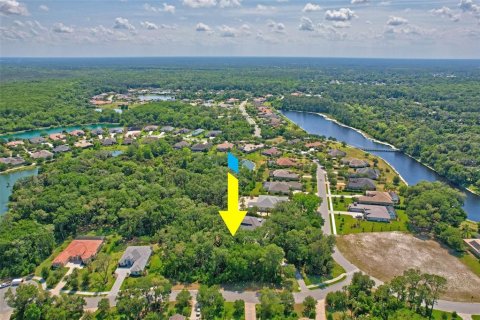 Terreno en venta en Palm Coast, Florida № 1316753 - foto 10