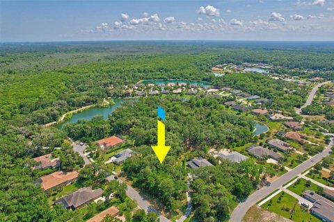 Terreno en venta en Palm Coast, Florida № 1316753 - foto 14