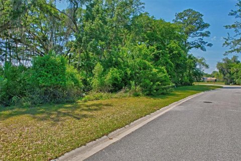 Land in Palm Coast, Florida № 1316753 - photo 22