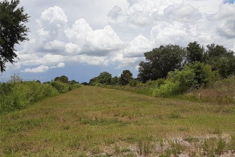 Купить земельный участок в Окичоби, Флорида № 2867 - фото 1