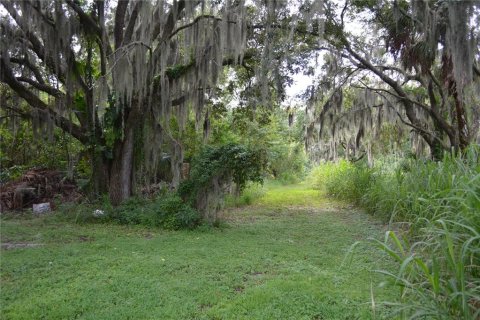 Terrain à vendre à Palmetto, Floride № 1358210 - photo 4