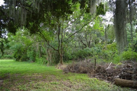 Terrain à vendre à Palmetto, Floride № 1358210 - photo 8