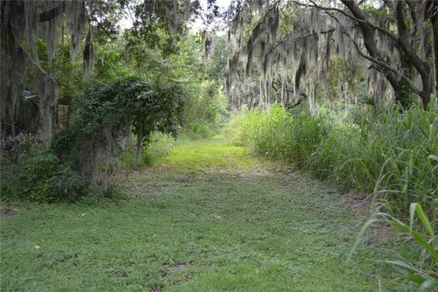 Land in Palmetto, Florida № 1358210 - photo 3