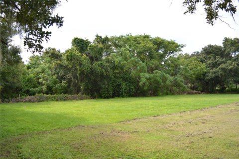 Terreno en venta en Palmetto, Florida № 1358210 - foto 6