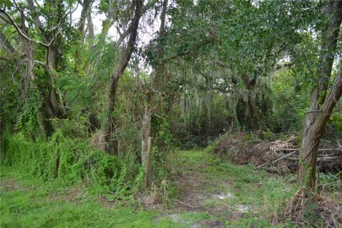 Terrain à vendre à Palmetto, Floride № 1358210 - photo 7