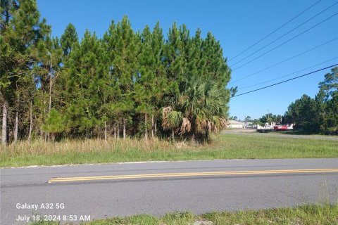 Land in Palm Bay, Florida № 1278995 - photo 3