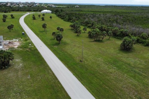 Terrain à vendre à Punta Gorda, Floride № 1182504 - photo 3