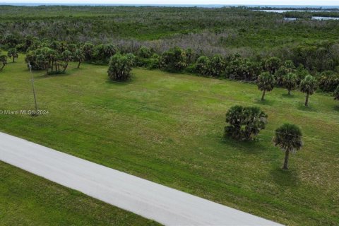 Terreno en venta en Punta Gorda, Florida № 1182504 - foto 4