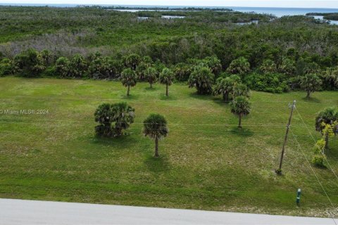 Land in Punta Gorda, Florida № 1182504 - photo 1