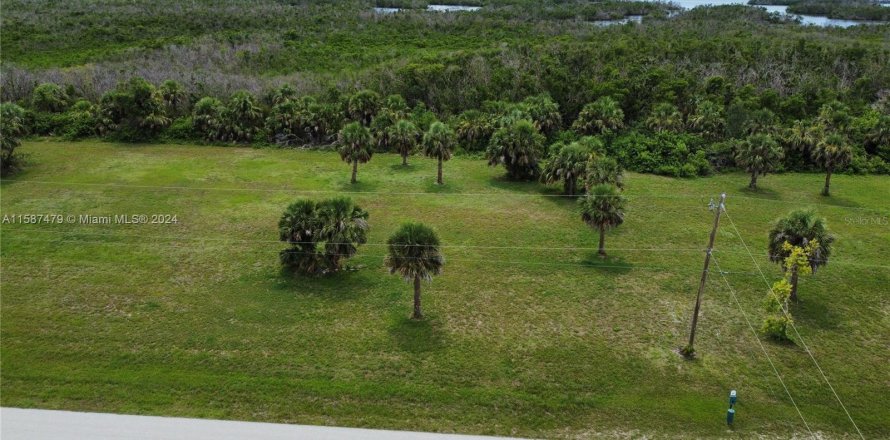 Land in Punta Gorda, Florida № 1182504