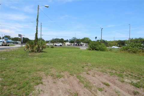 Land in Port Richey, Florida № 1402415 - photo 19