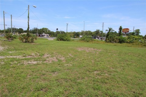 Land in Port Richey, Florida № 1402415 - photo 16