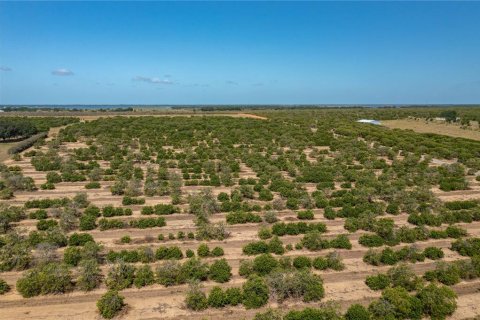 Terreno en venta en Frostproof, Florida № 1165094 - foto 9