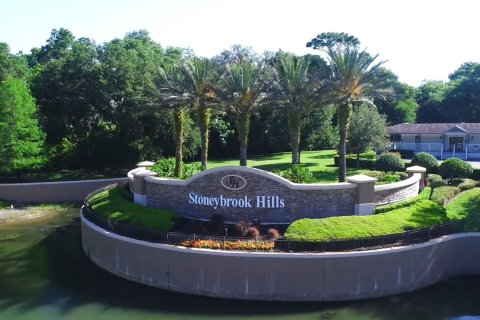 STONEYBROOK HILLS sobre plano en Mount Dora, Florida № 11287 - foto 3