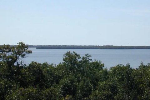 Купить земельный участок в Марко-Айленд, Флорида № 754766 - фото 3