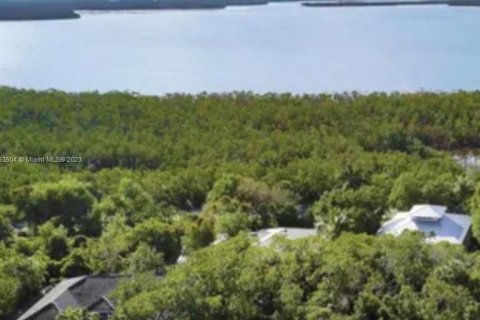 Terrain à vendre à Marco Island, Floride № 754766 - photo 1