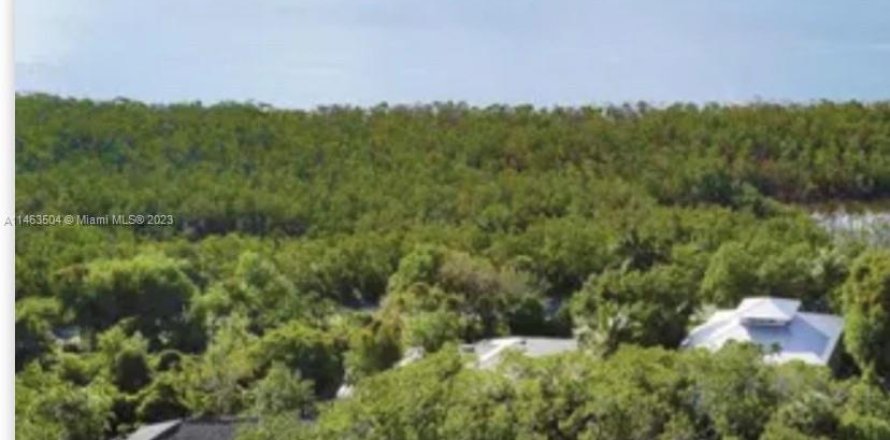 Terrain à Marco Island, Floride № 754766