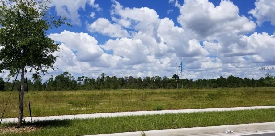 Land in Orlando, Florida № 212990